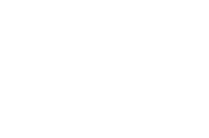 TD Max